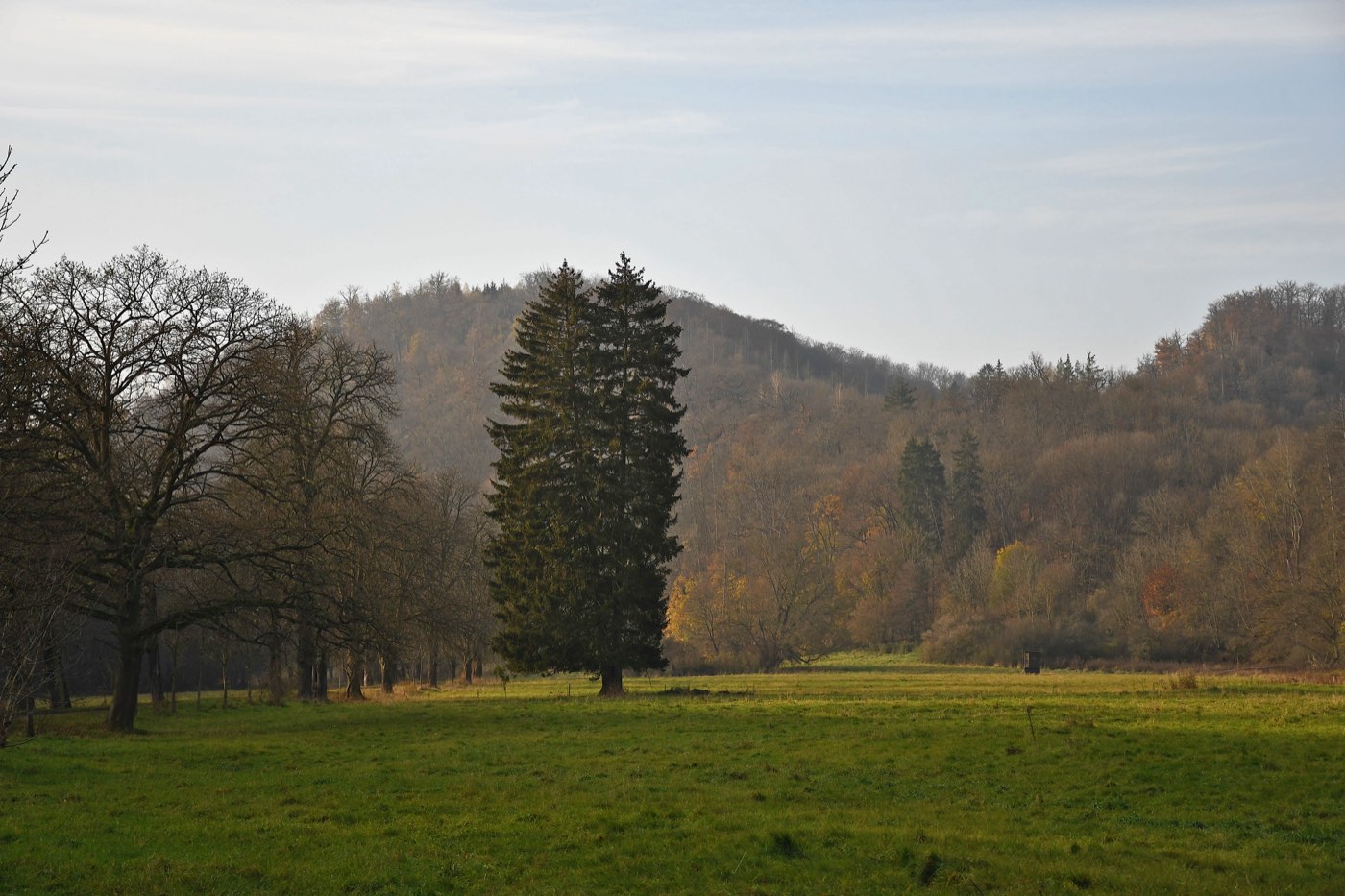 Herbstliche Wiese im Selketal bei Falkenstein im Harz, Sachsen-Anhalt