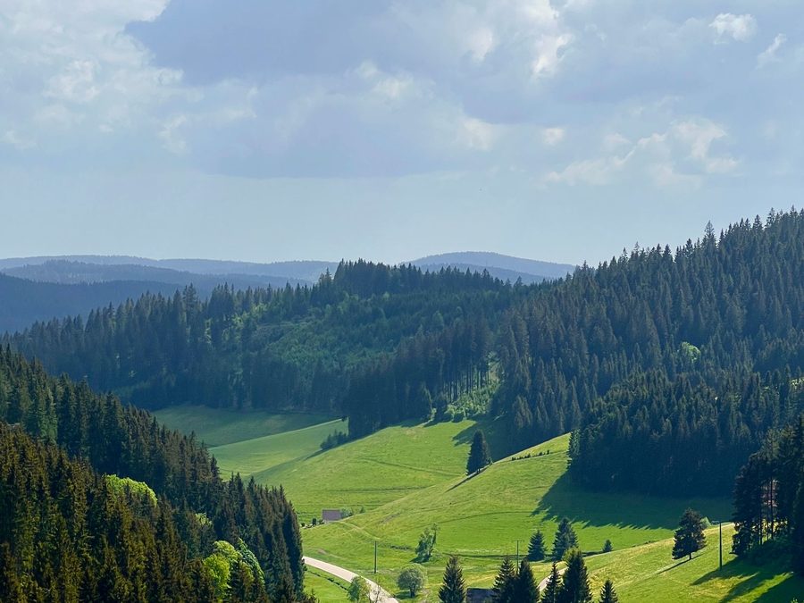 Panoramablick über den Schwarzwald bei Baiersbronn