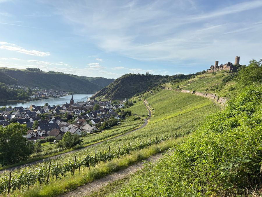 Landschaft im Rheinland